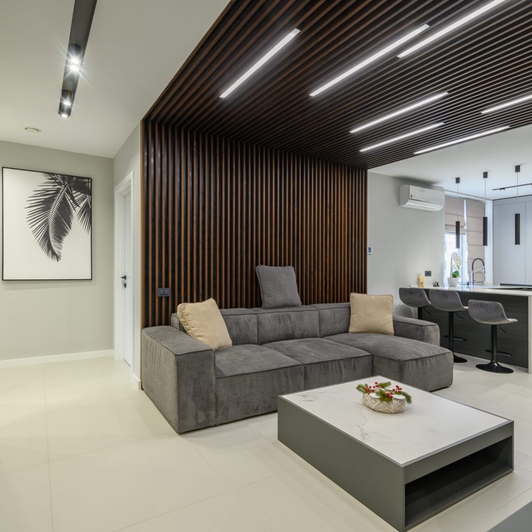 Luxury living room with sofa ant tv set and kitchen in studio apartment interior